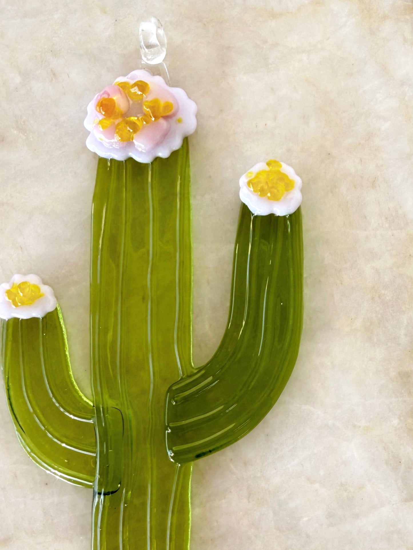 Saguaro Cactus
