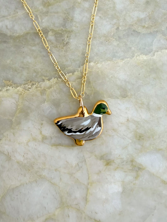 Mallard Duck